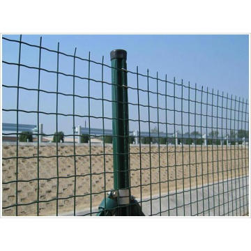 50X50mm Сетчатый PVC покрытый Eurofence в хорошем качестве